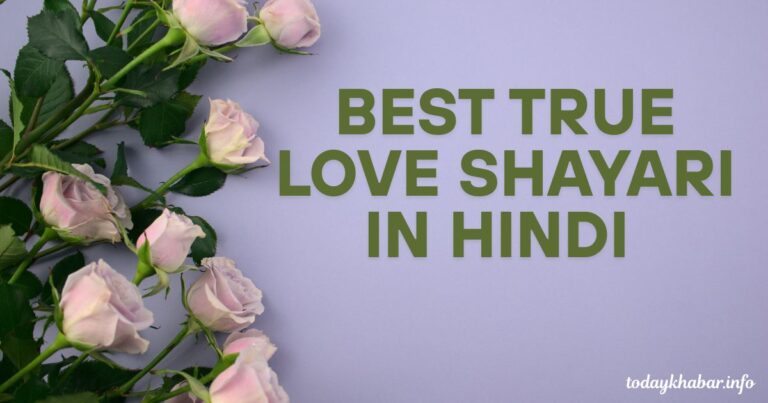 Best True Love Shayari In Hindi